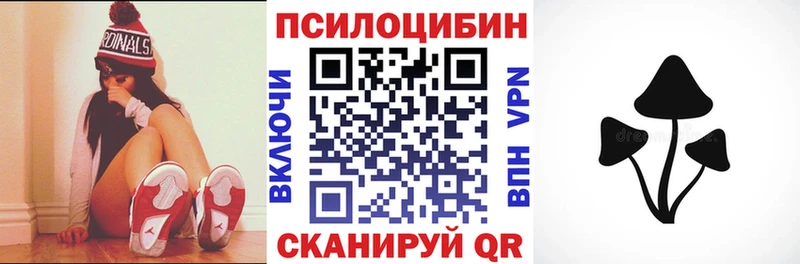 shop клад Дагестанские Огни Галлюциногенные грибы MAGIC MUSHROOMS