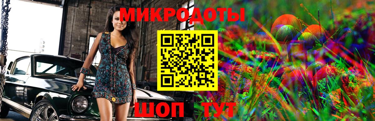 Галлюциногенные грибы Cubensis Дагестанские Огни
